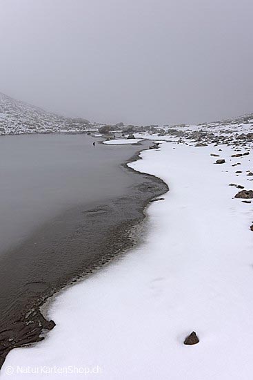 Foto:: Uferlinie eines Bergsees (Foto,Fotos,Bilder,Bild,)